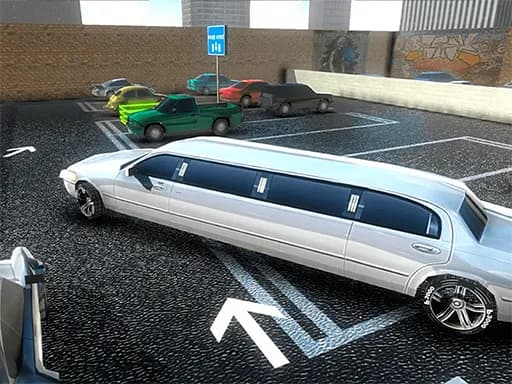 Aşırı Hız ve Park Etme Oyunu
