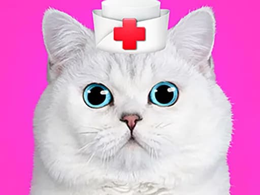 Kedi Veterineri Diş Hekimi