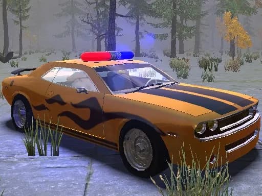 Polis Süper Araba Park Etme Çılgınlığı