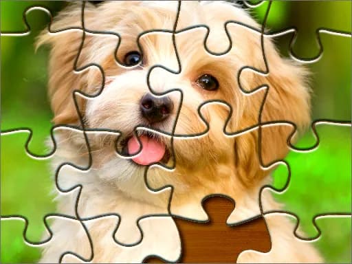 Jigsaw Bulmaca 2020