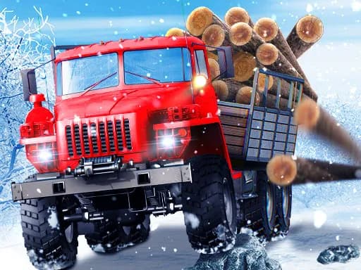 Kamyon Şoförü Karlı Yollar