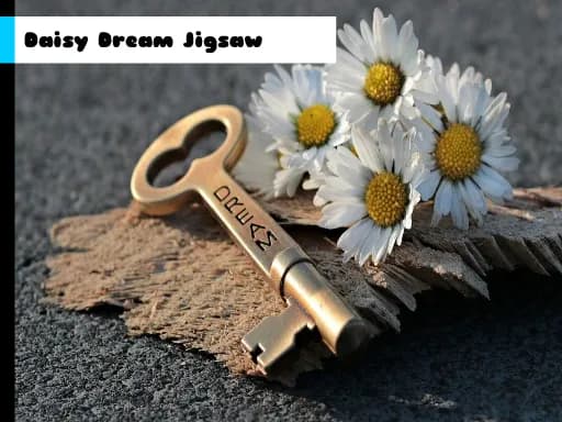 Daisy Dream Bulmacası