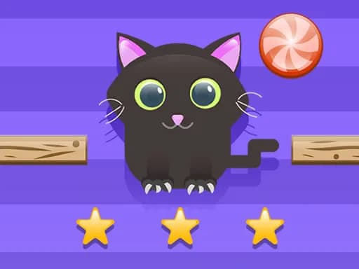 Kedi İçin Kesme Mücadelesi