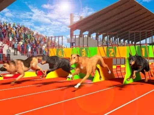 Köpek Yarışı 3D