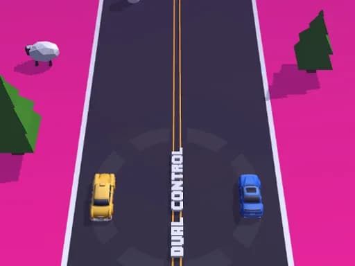 İkili Kontrol Aracı